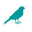 Dancing Canary Spreading joy and good vibes one design at a time! logo