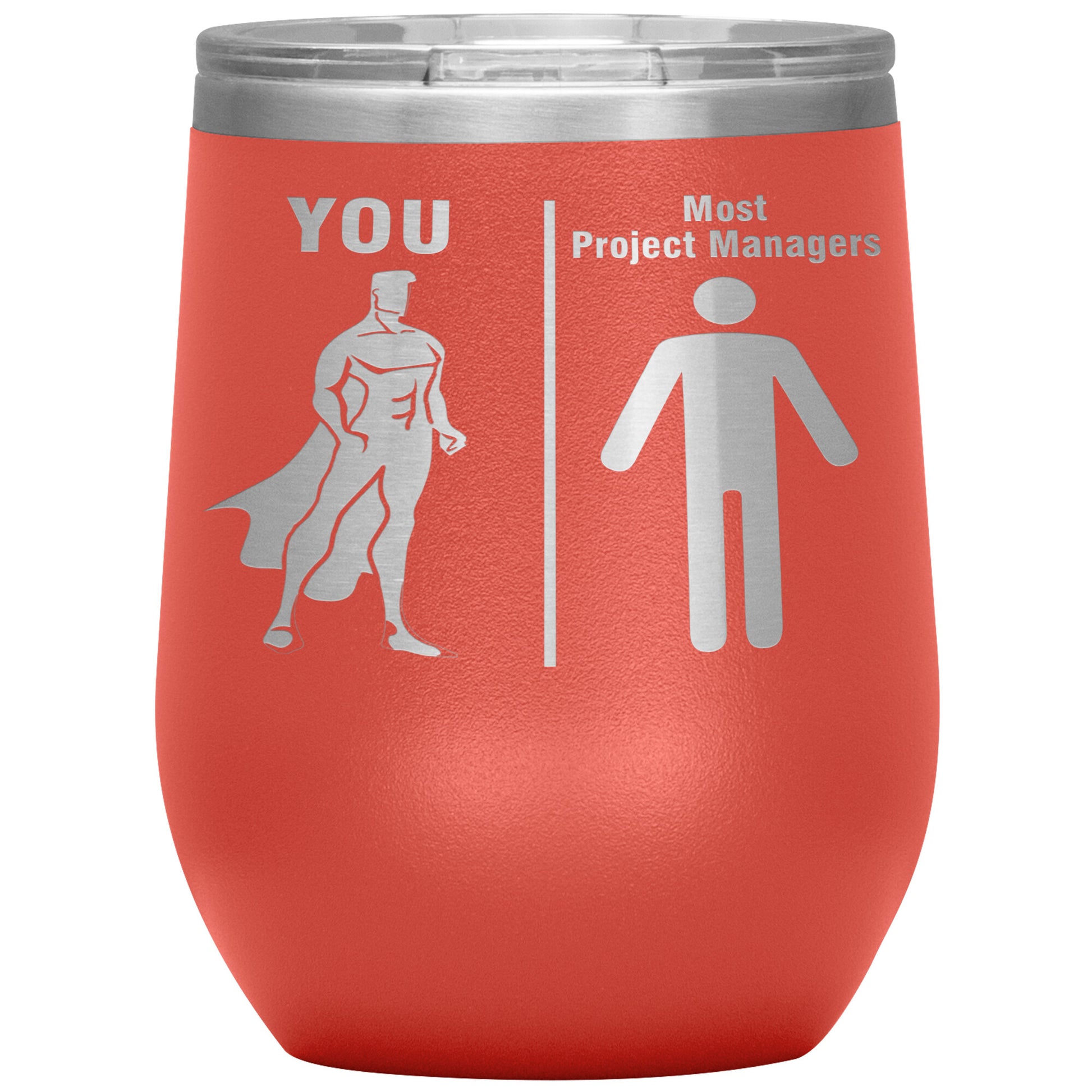 Most Project Managers vs You Tumbler