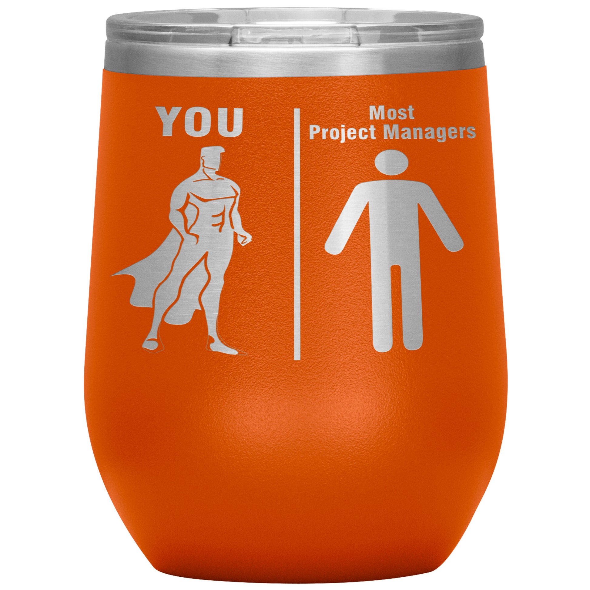 Most Project Managers vs You Tumbler