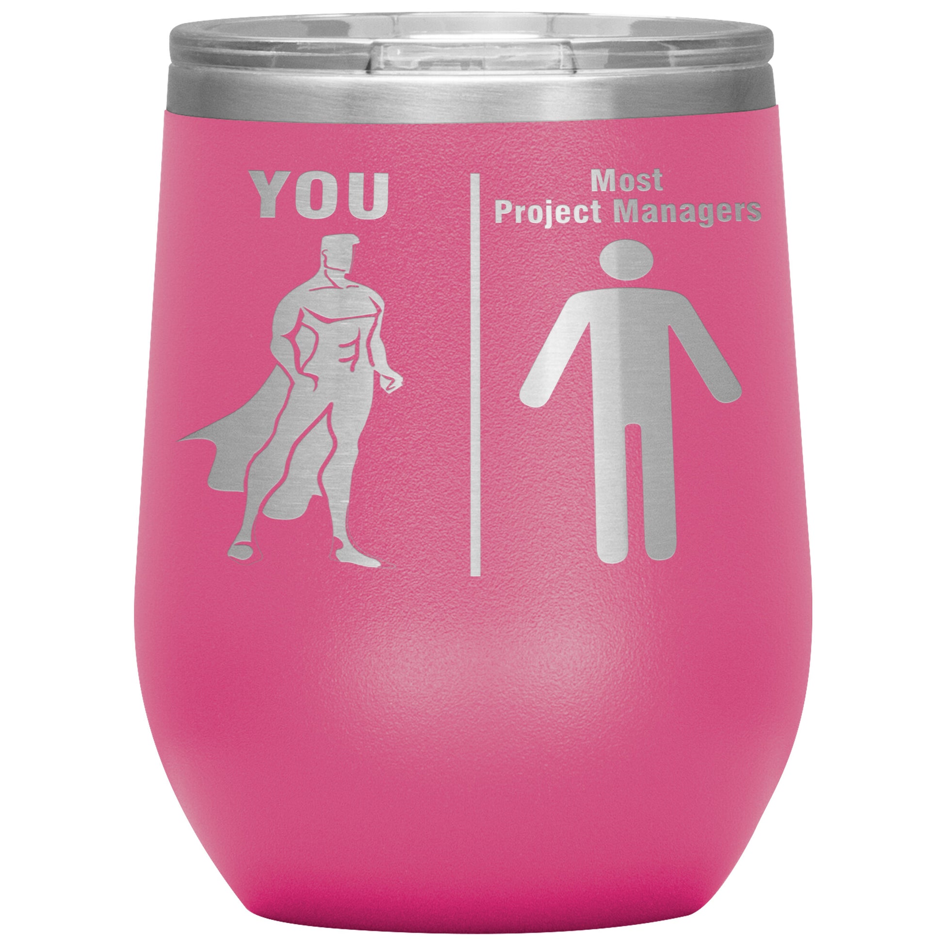 Most Project Managers vs You Tumbler