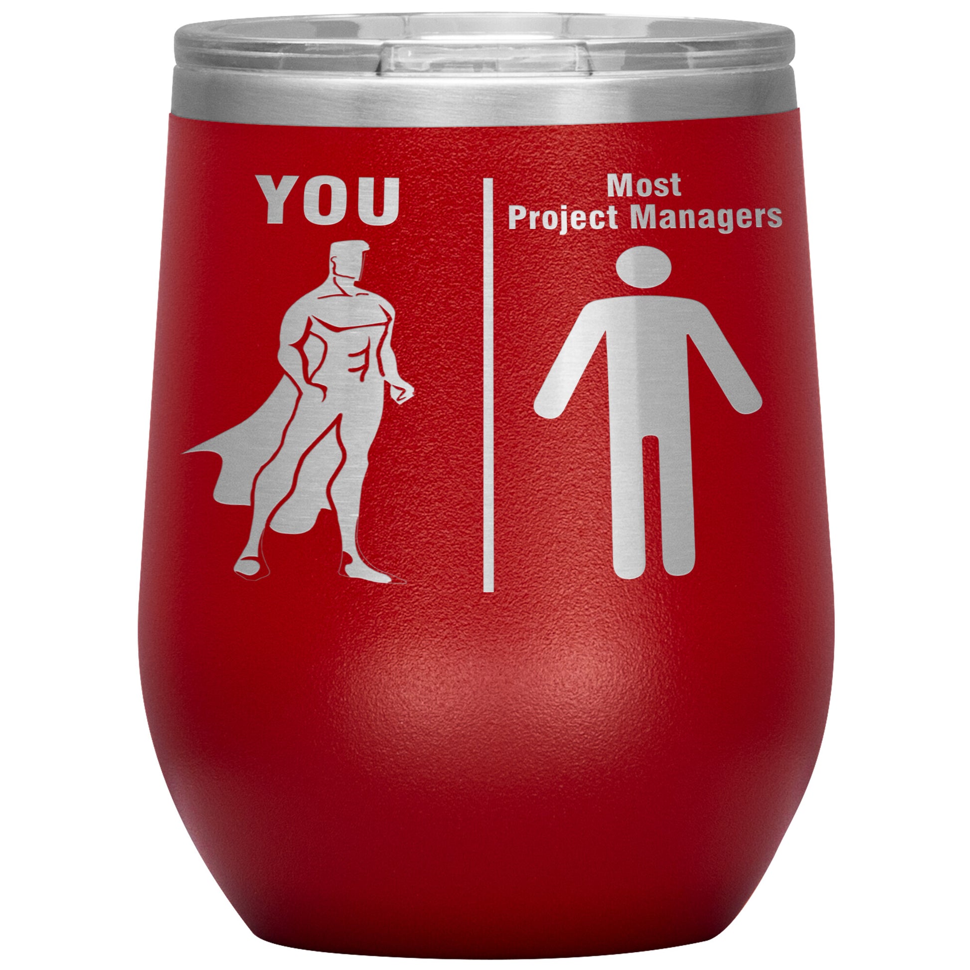 Most Project Managers vs You Tumbler