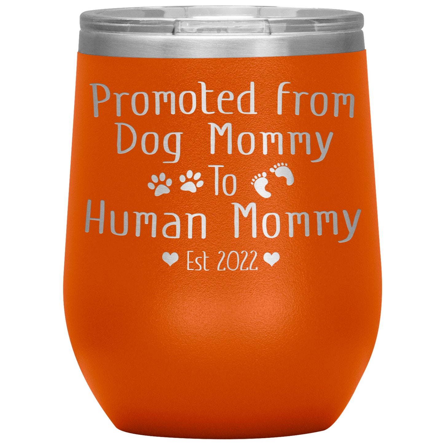 Promoted from Dog to Human Mommy Est 2022 Tumbler