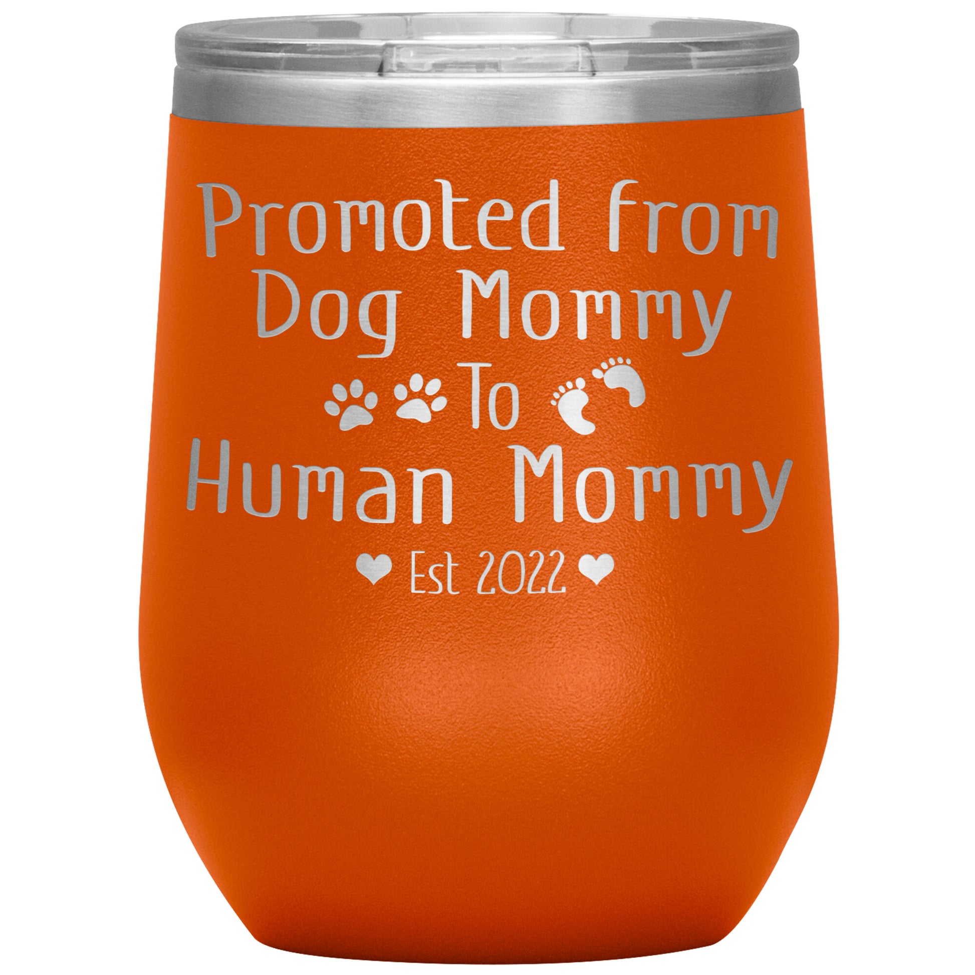 Promoted from Dog to Human Mommy Est 2022 Tumbler
