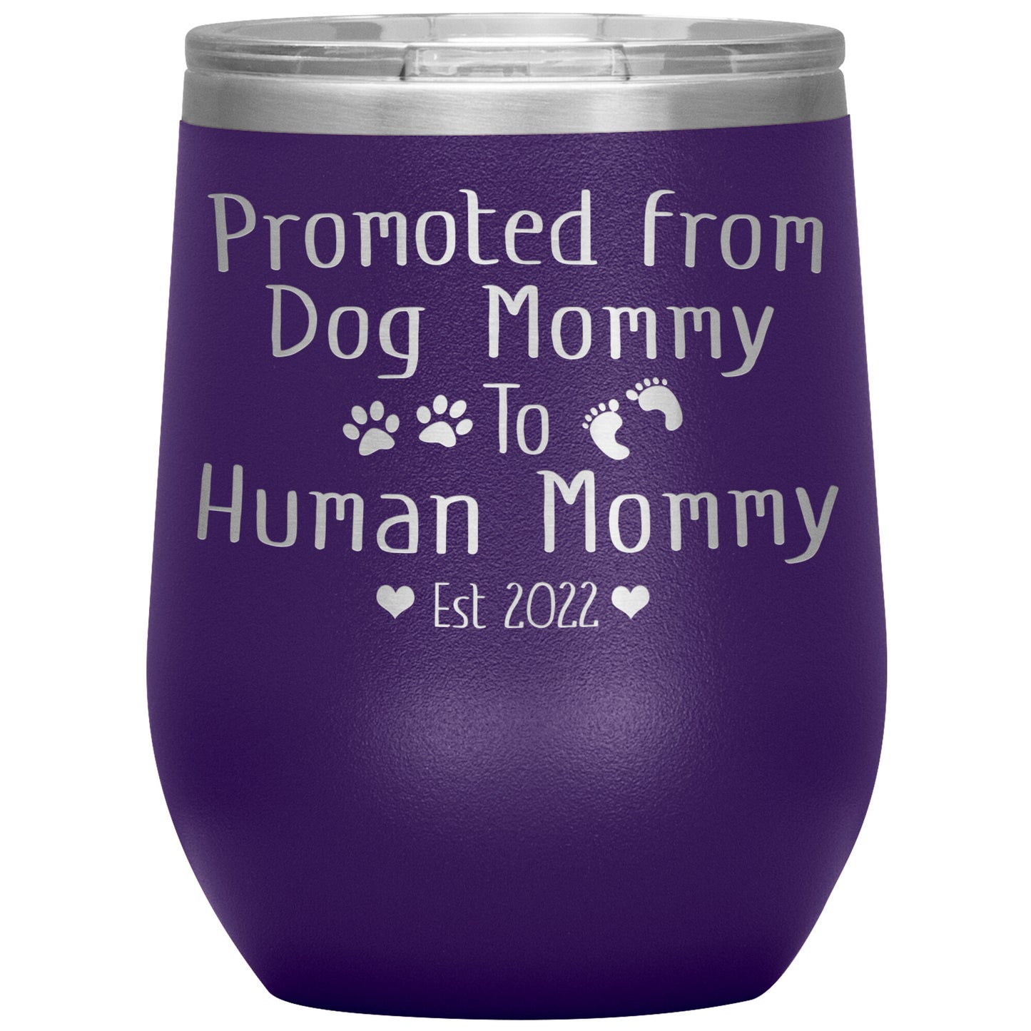 Promoted from Dog to Human Mommy Est 2022 Tumbler
