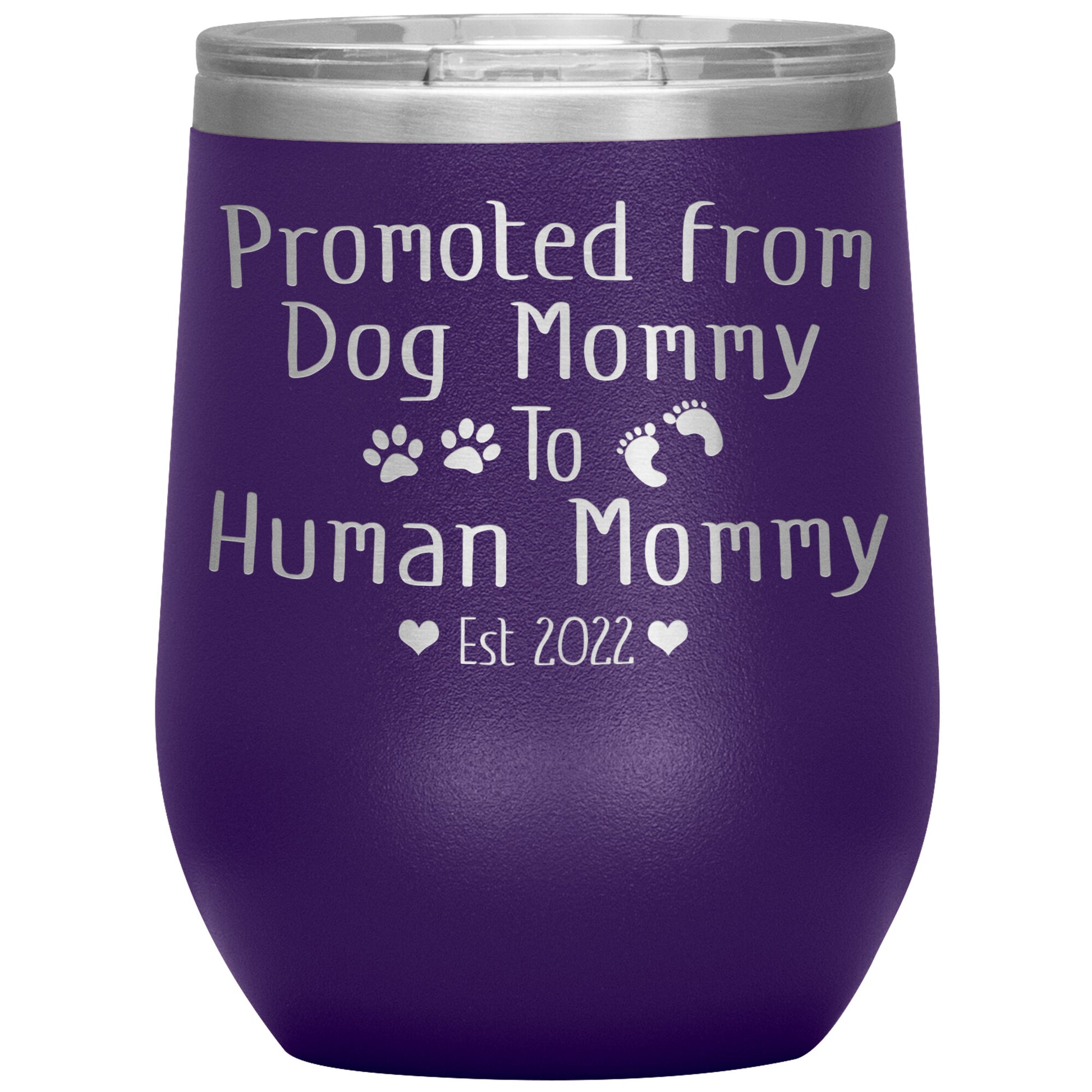 Promoted from Dog to Human Mommy Est 2022 Tumbler