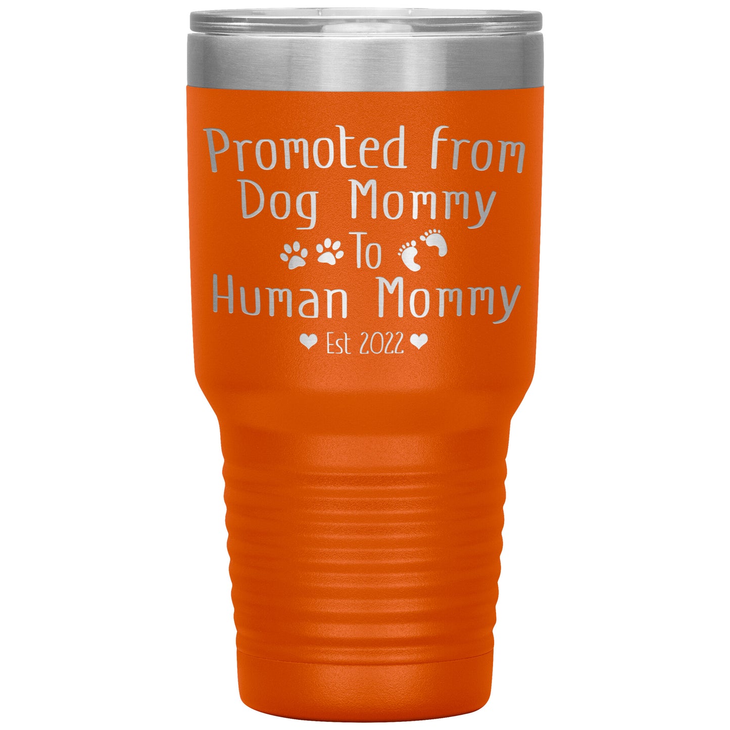 Promoted from Dog to Human Mommy Est 2022 Tumbler