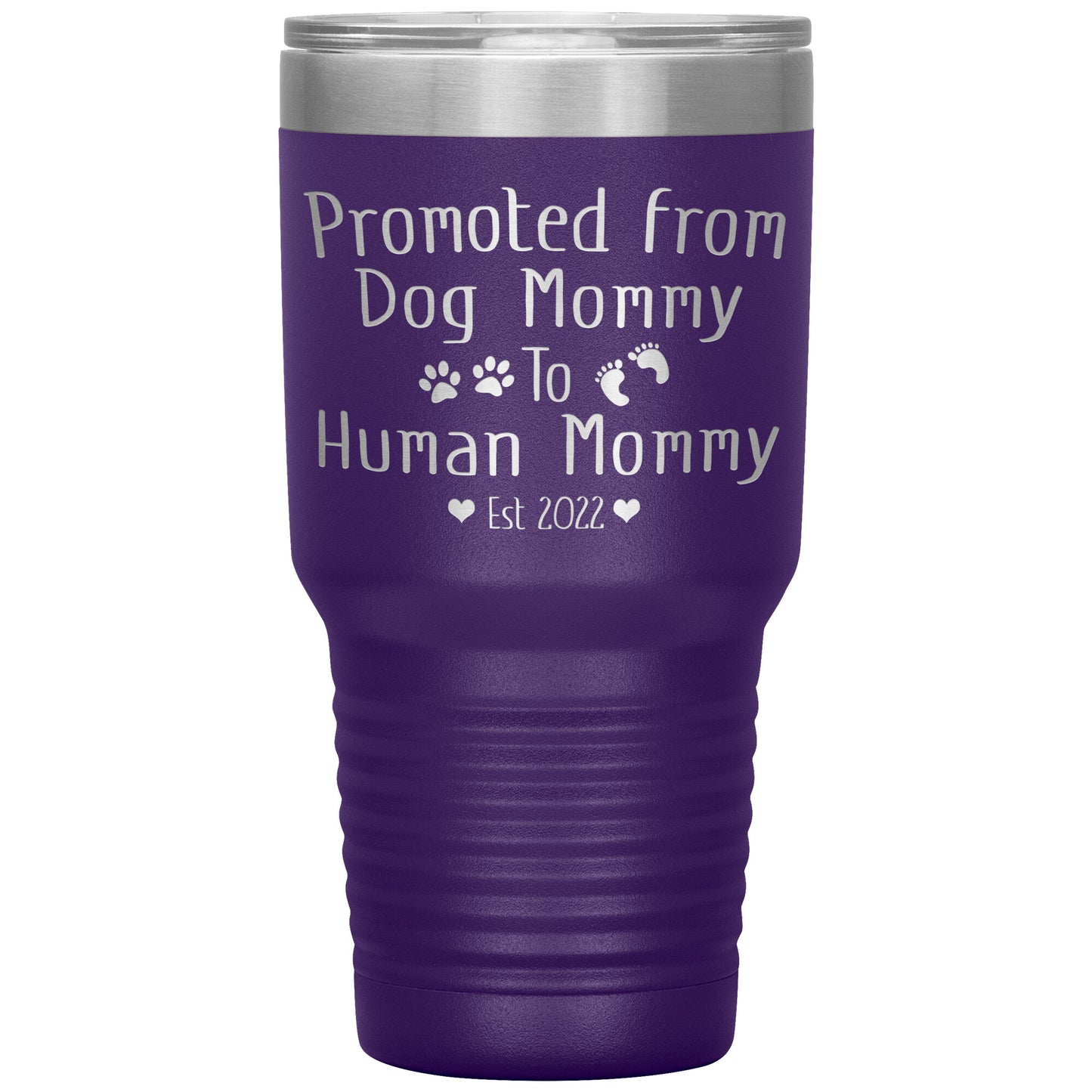Promoted from Dog to Human Mommy Est 2022 Tumbler